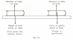 Action and reaction forces