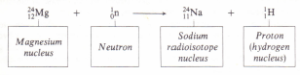 Irradiation of magnesium by neutrons