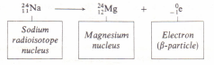 Beta decay of the sodium isotope