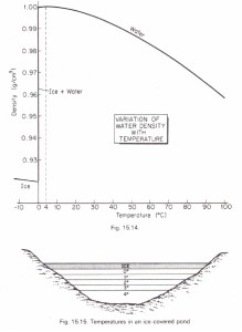 Biological importance of the anomalous expansion of water