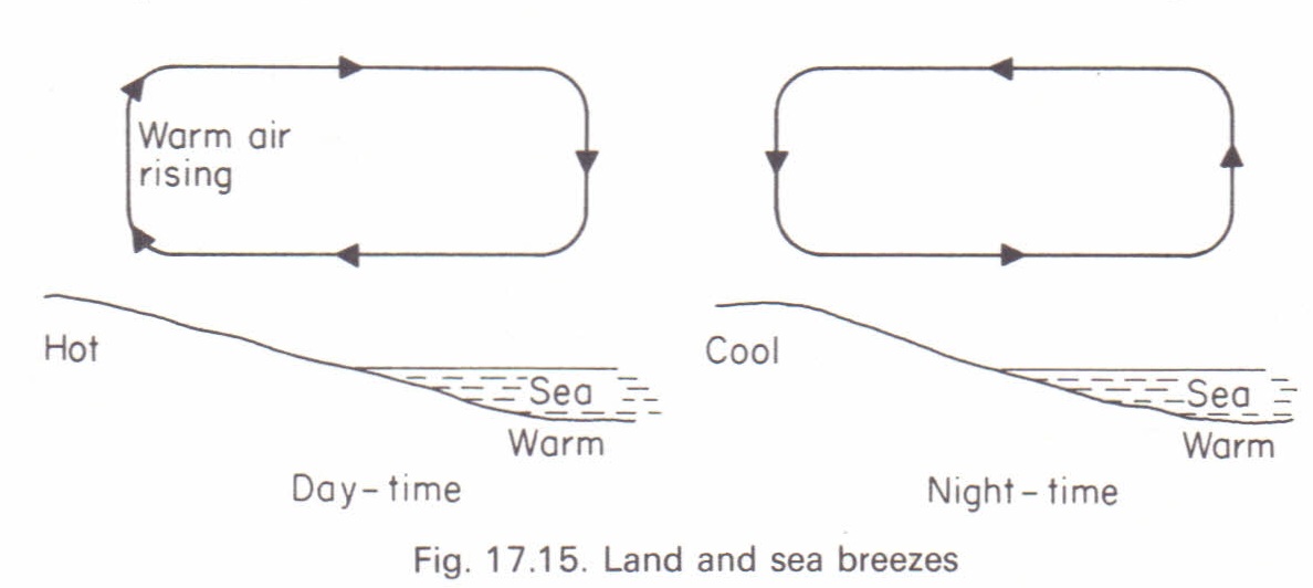 30 Heat Transfer Diagram Stock Photos Pictures  RoyaltyFree Images   iStock