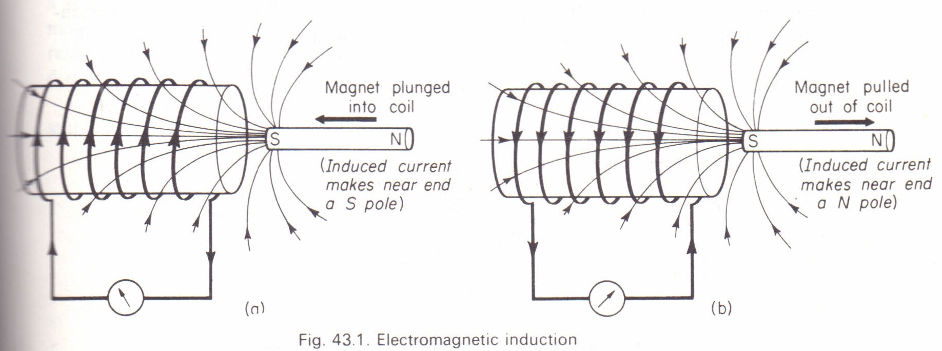 Electromagnetic Induction / Faraday's Law of Electromagnetic Induction